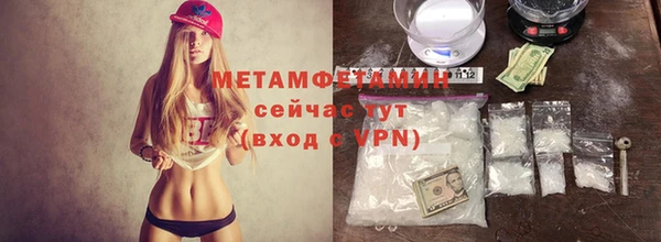 прущая мука Вяземский