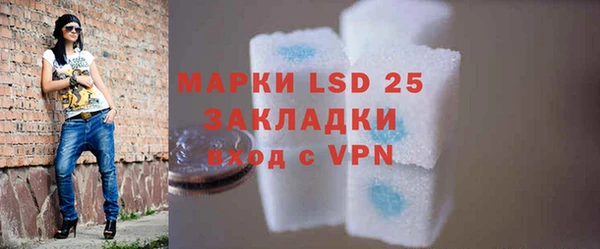 прущая мука Вяземский