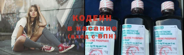 прущая мука Вяземский