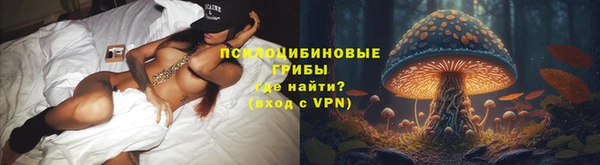 индика Видное