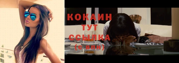 прущая мука Вяземский