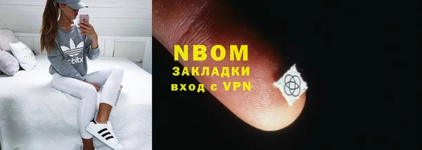 прущая мука Вяземский