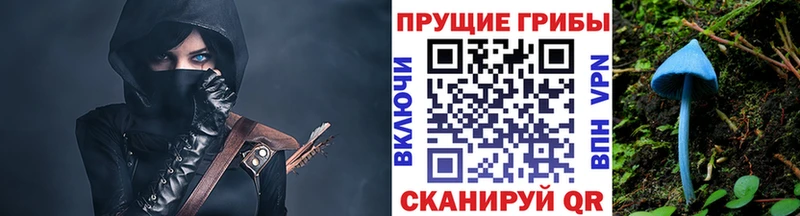 Галлюциногенные грибы прущие грибы  Донецк 